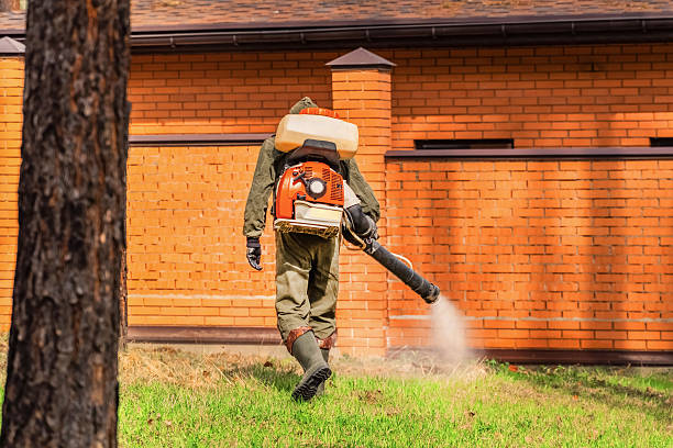 Trusted Mosquito Control service in Lebanon Junction, KY - Nex Pest Control